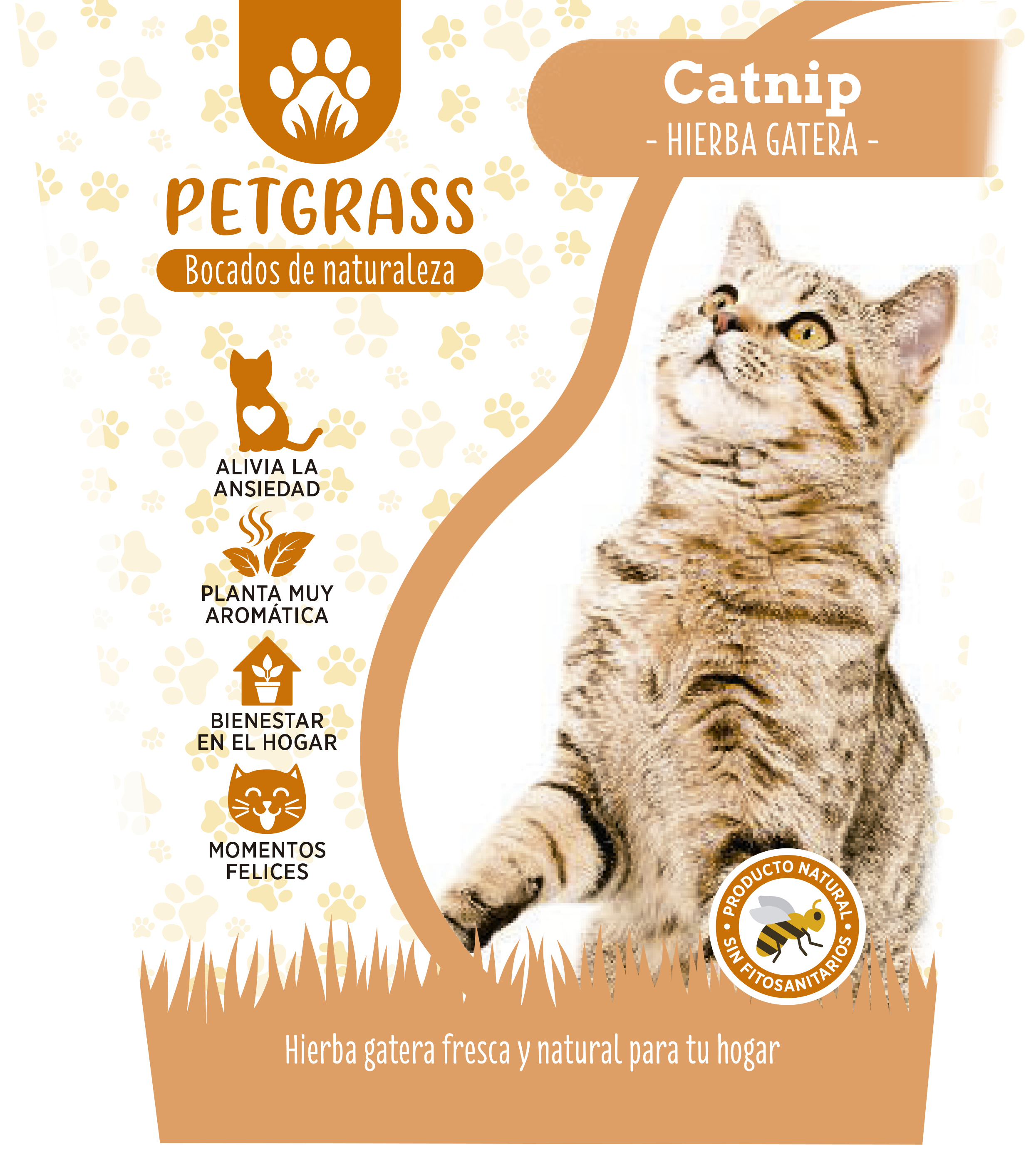 Petgrass Catnip - Hierba Gatera